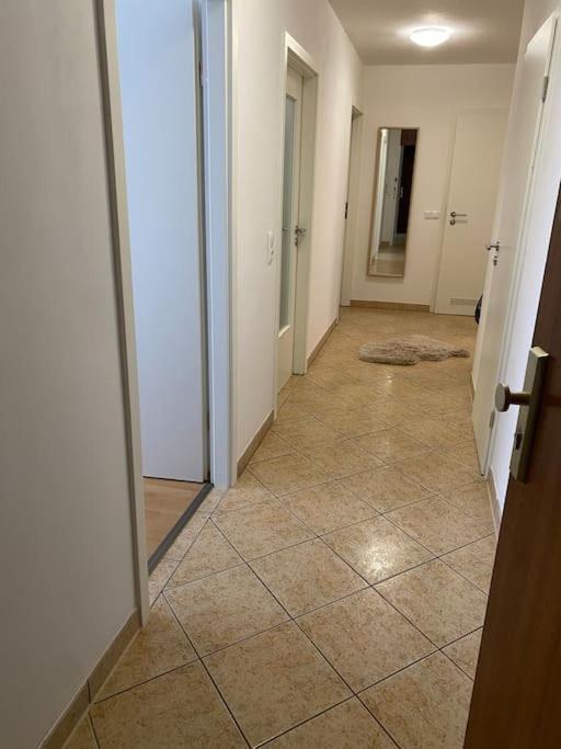 Augsburger Wohnung In Klinikum-Naehe Buitenkant foto